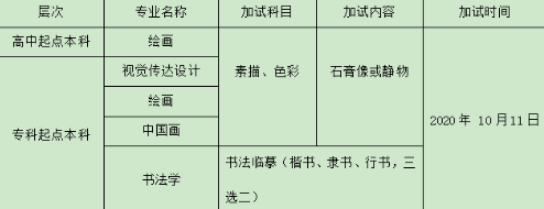 鲁迅美术学院2020年成人高考招生简章