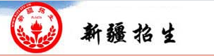 新疆2020年成考成绩查询系统入口