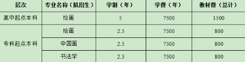 鲁迅美术学院2020年成人高考招生简章