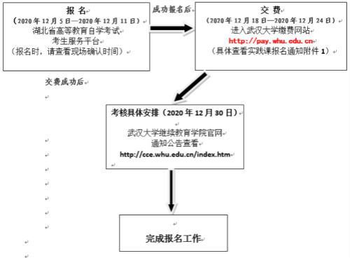 报名流程图