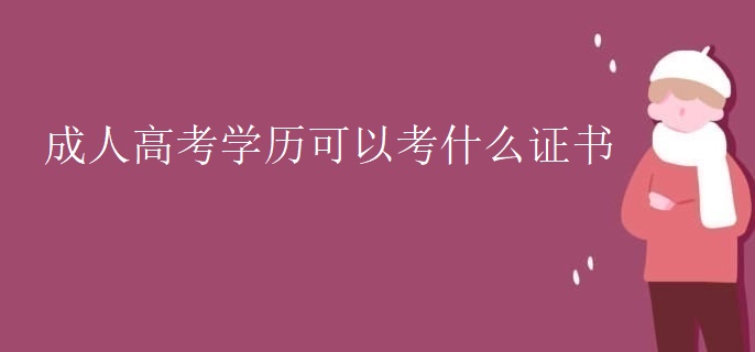 成人高考学历可以考什么证书