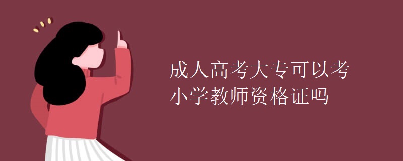 成人高考大专可以考小学教师资格证吗